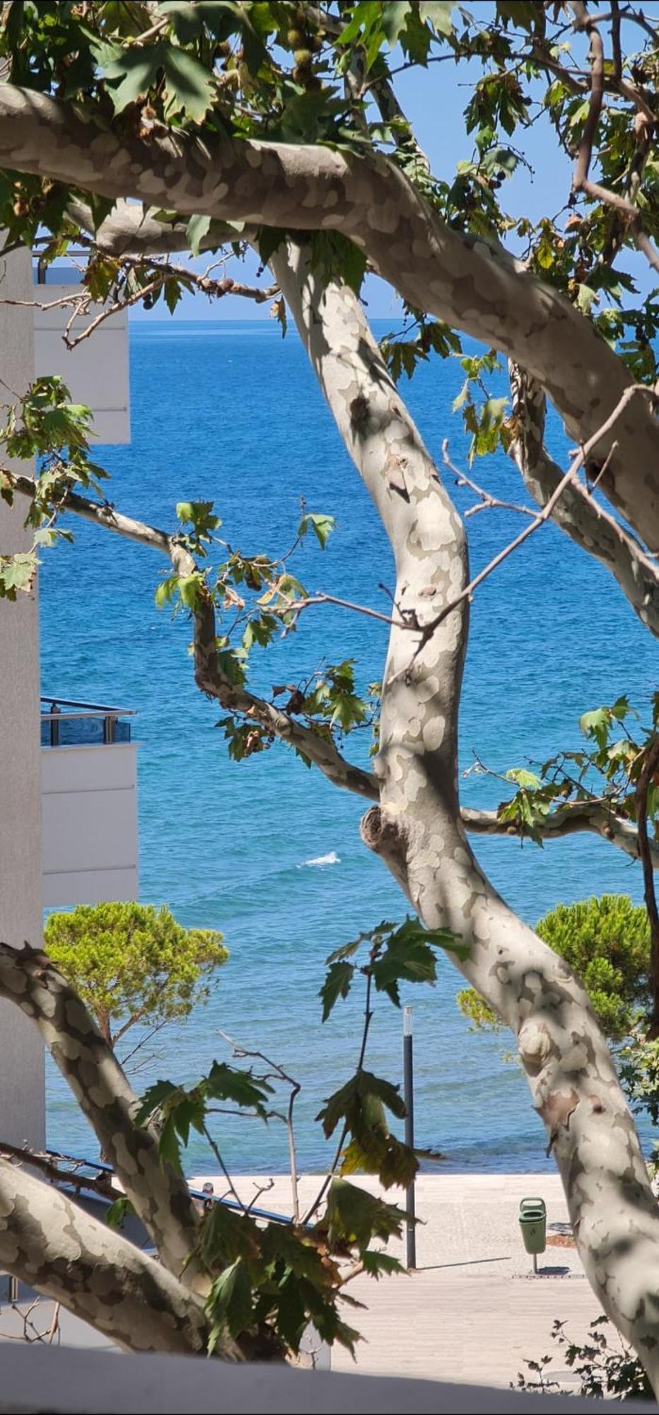 Blue Bay Beach Front Uji Ftohte Apartment *